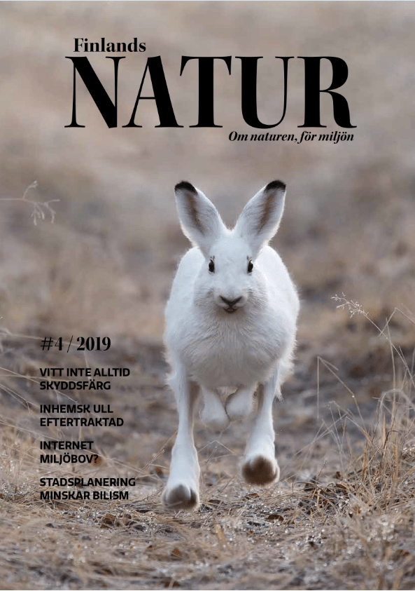 Finlands Natur 4 / 2019 VINTER