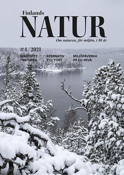 Finlands Natur 4/2021 Vintern