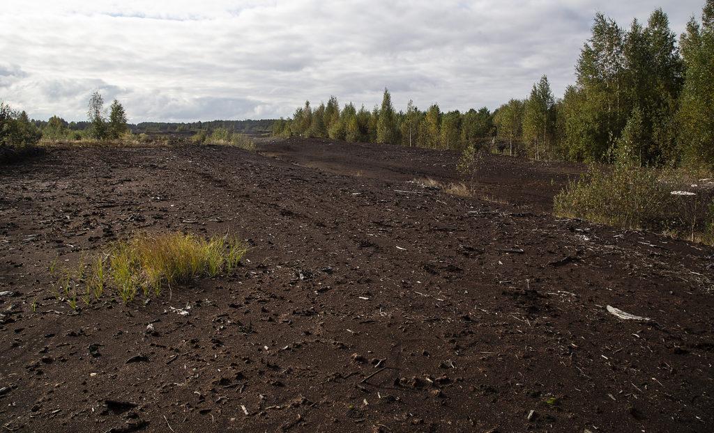 Av klimatorsaker finns det alltså behov av att minska torvens användning också på andra områden än energiproduktionen. Foto: Magnus Östman