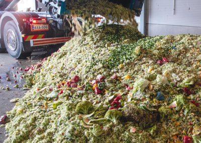 Från broccoli till biobränsle