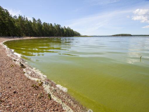 Finländarna oroade över naturens tillstånd