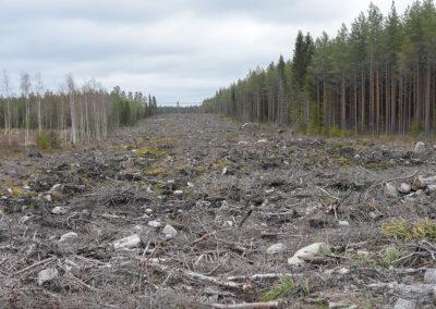 Regeringen finansierar ny forskning om kolsänkor
