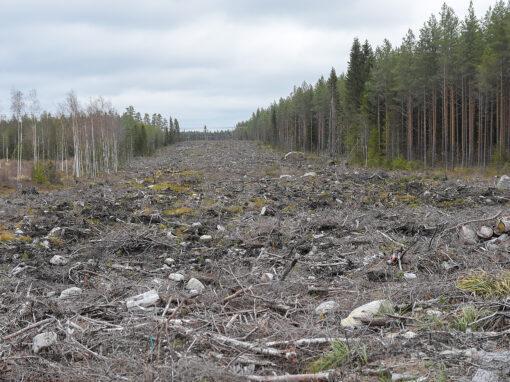 Regeringen finansierar ny forskning om kolsänkor