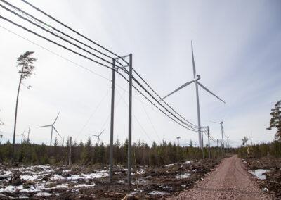 Rekordår för vindkraften i Finland