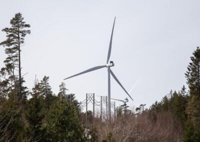 Finland tredje bäst på ny vindkraft i Europa