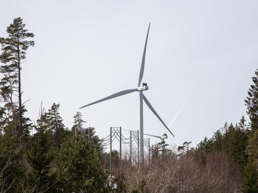 Finland tredje bäst på ny vindkraft i Europa