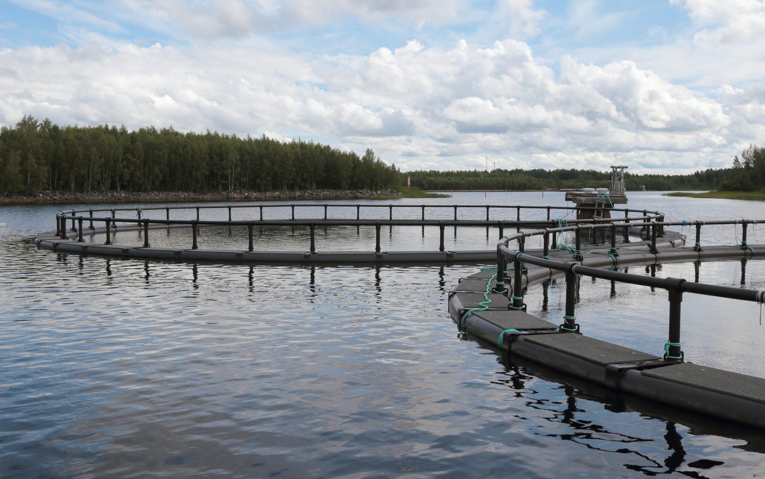 Fish_farming_Martinniemi_Oulu_20200713_03