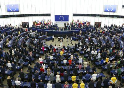EU ense om nytt miljöbrottsdirektiv