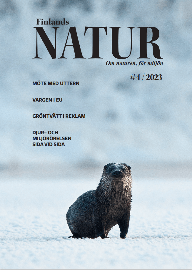 Finlands Natur 4/2023, vinter
