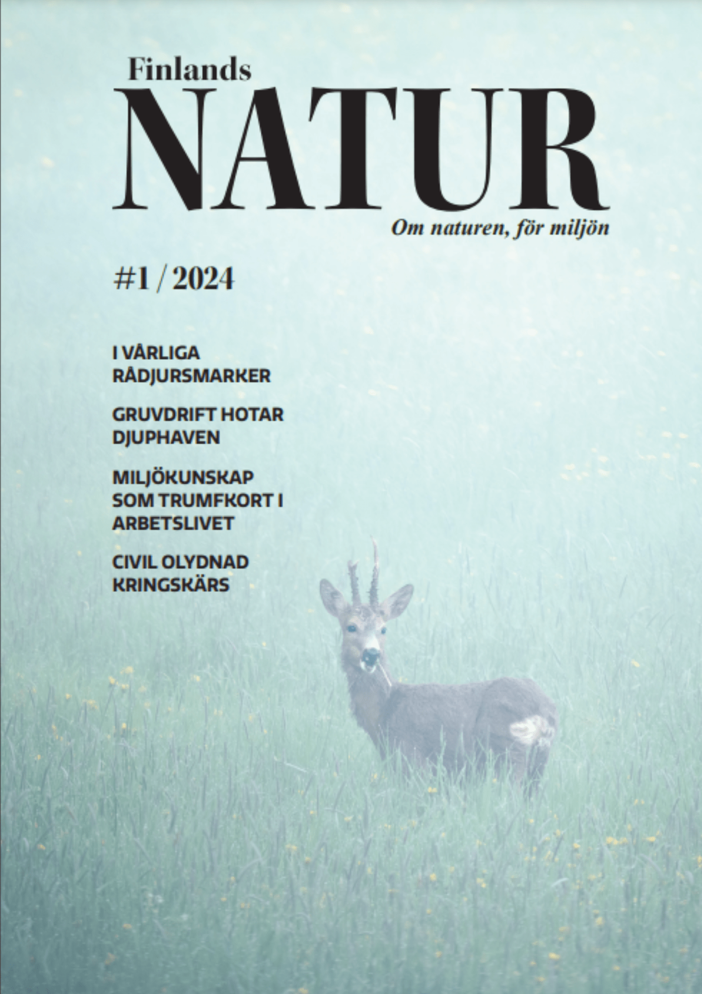 Finlands Natur 1/2024, vår