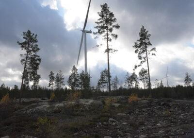 Finländarna vill ha vindkraft men inte på sin egen bakgård