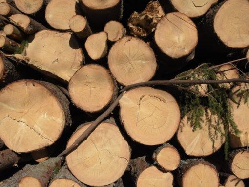 Stiftelse: Sänk fastighetsskatten för dem som skyddar naturen