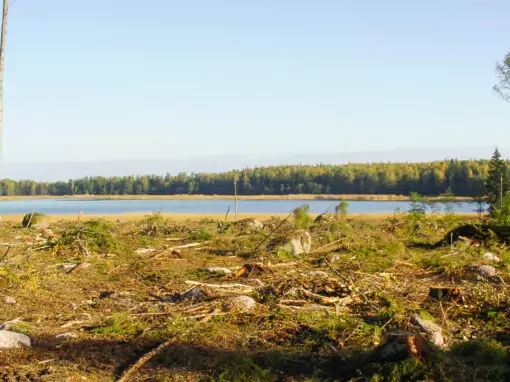 Skogsägarnas rådgivare bör ge olika råd beroende på skogstyp