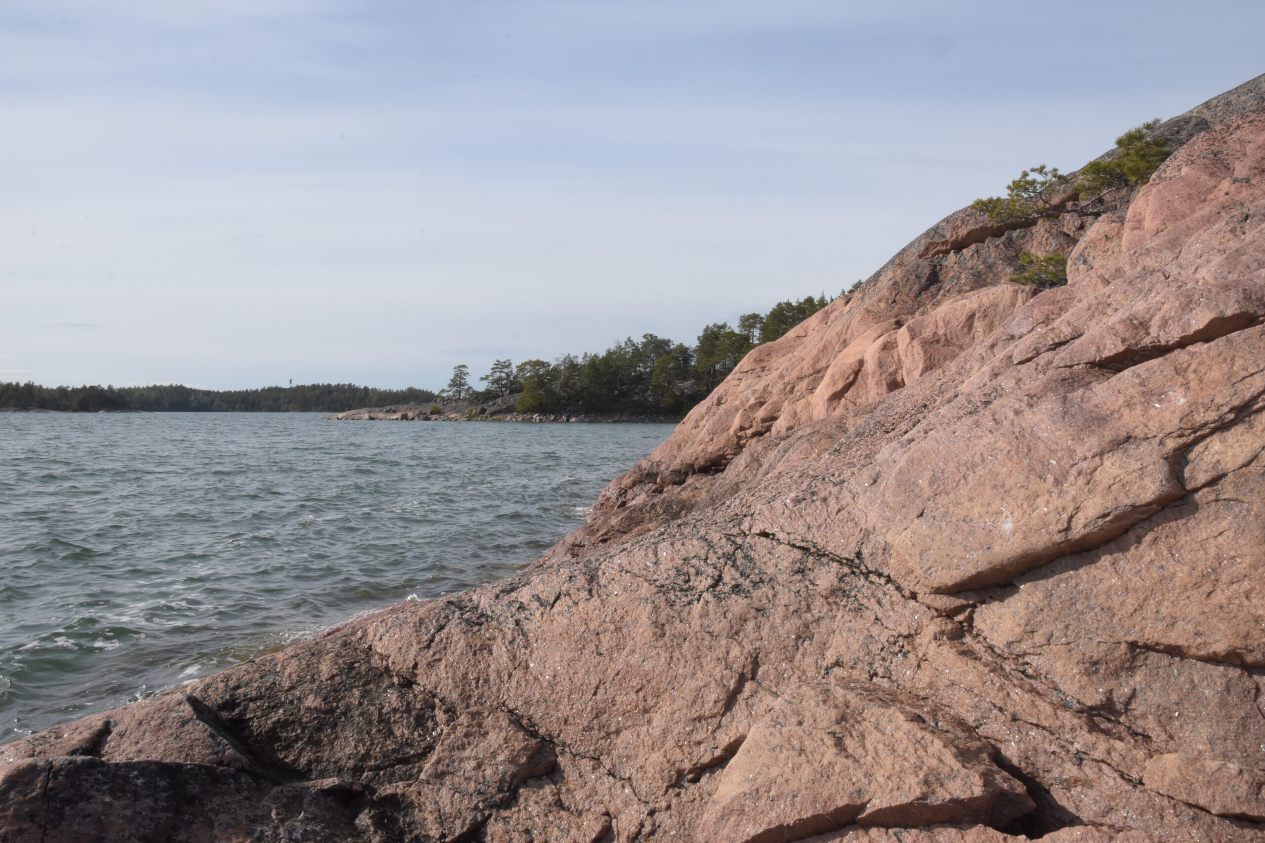 Den sjunkande salthalten i Skärgårdshavet gör livet kärvt för plankton och fiskar. Foto: Mikael Sjövall