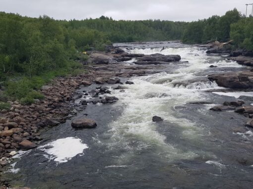 Fiskeavtalet för Neidenälven ska uppdateras