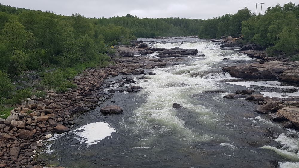 Förhandlingarna om ett nytt fiskeavtal förutsätter överläggningar med Norge eftersom Neidenälven flyter från Neidenfjorden i Norge till Enare i Finland. Foto: Jord- och skogsbruksministeriet