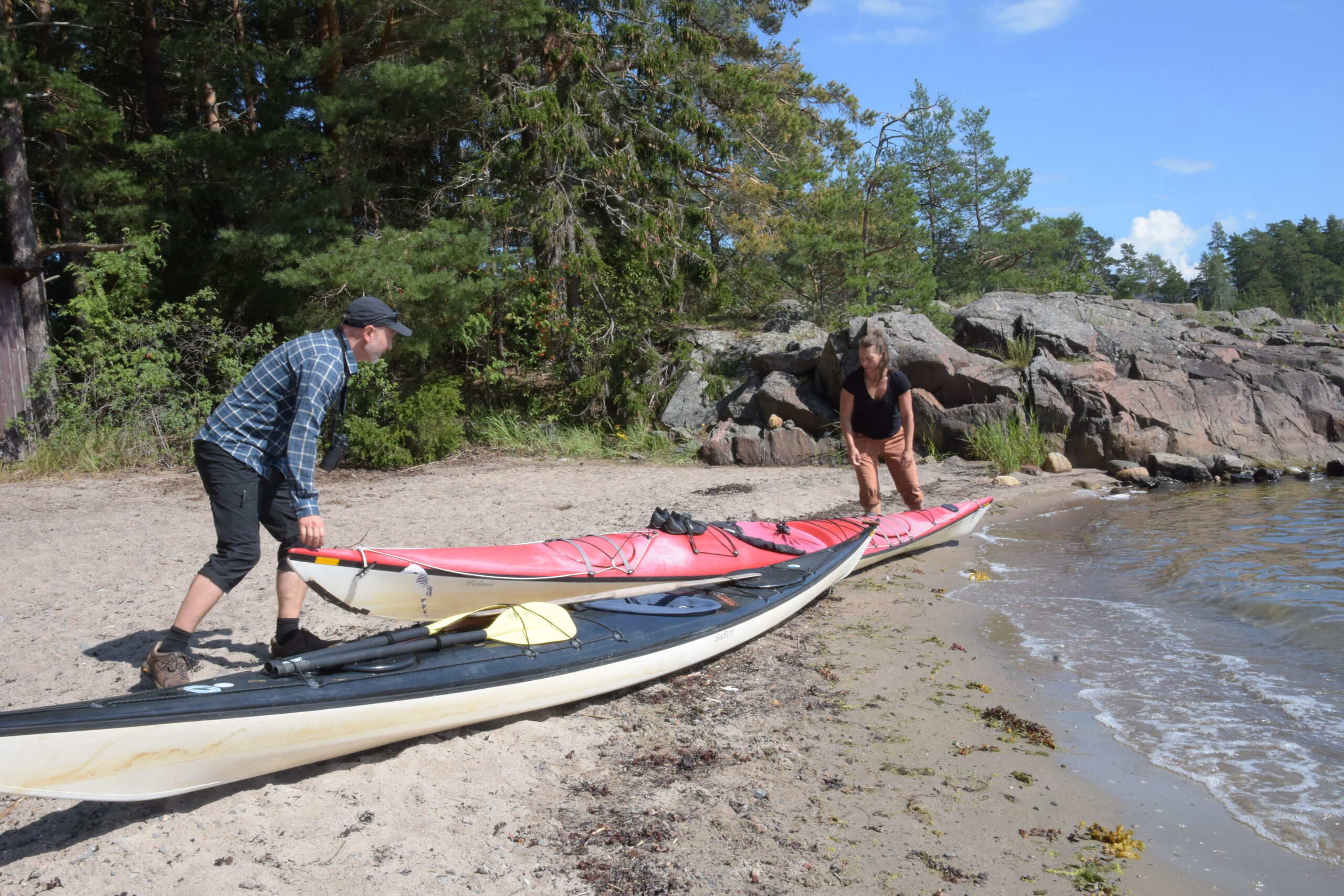 Panu och Sanna-Mari Kunttus paddlingsfärd i somras avslöjade en markant nedgång i fågelbestånden i de finska kusttrakterna. Foto: Mikael Sjövall