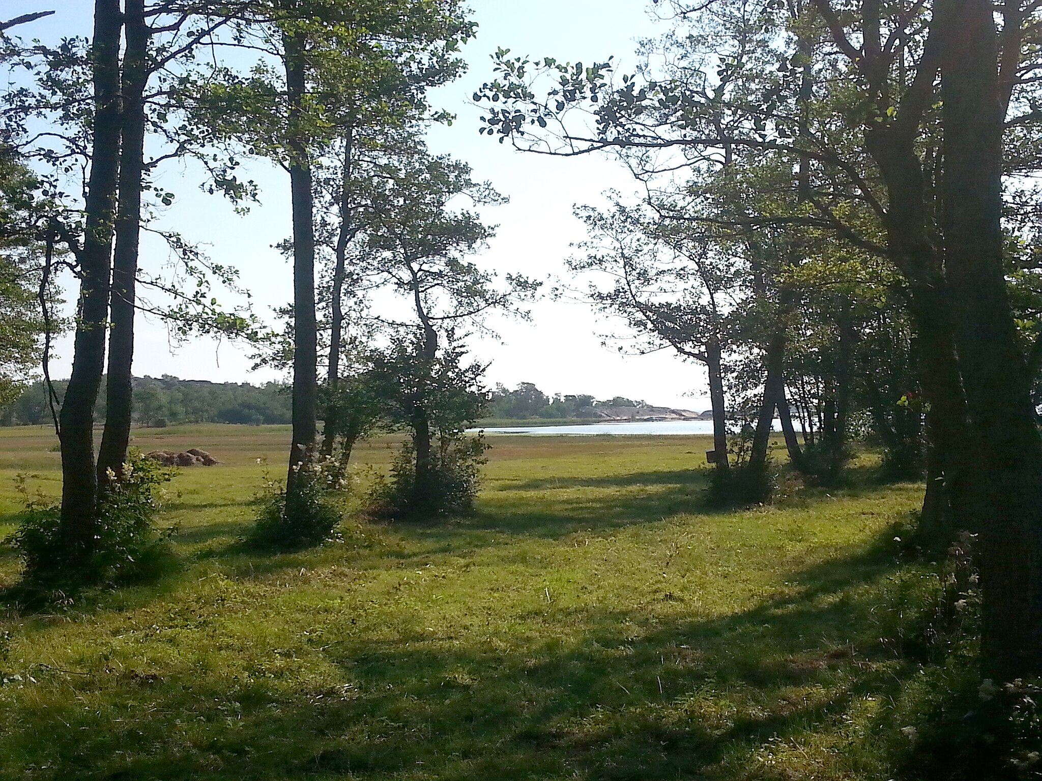 Finlands miljöcentral föreslår nya riktade jordbruksstöd som främjar framväxten av betesmarker och blommande ängar. Foto: Jungfruskär i Åbolands skärgård / Wikimedia Commons / Kotivalo