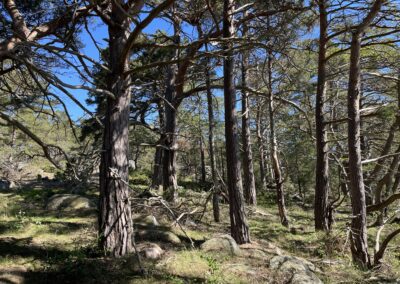 Skärgårdshavets nationalpark utvidgas