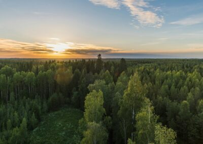 Klimatforskare varnar – vi är på väg mot 2,7 grader