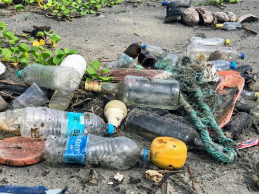 Utmanande förhandlingar väntar på internationellt plastmöte