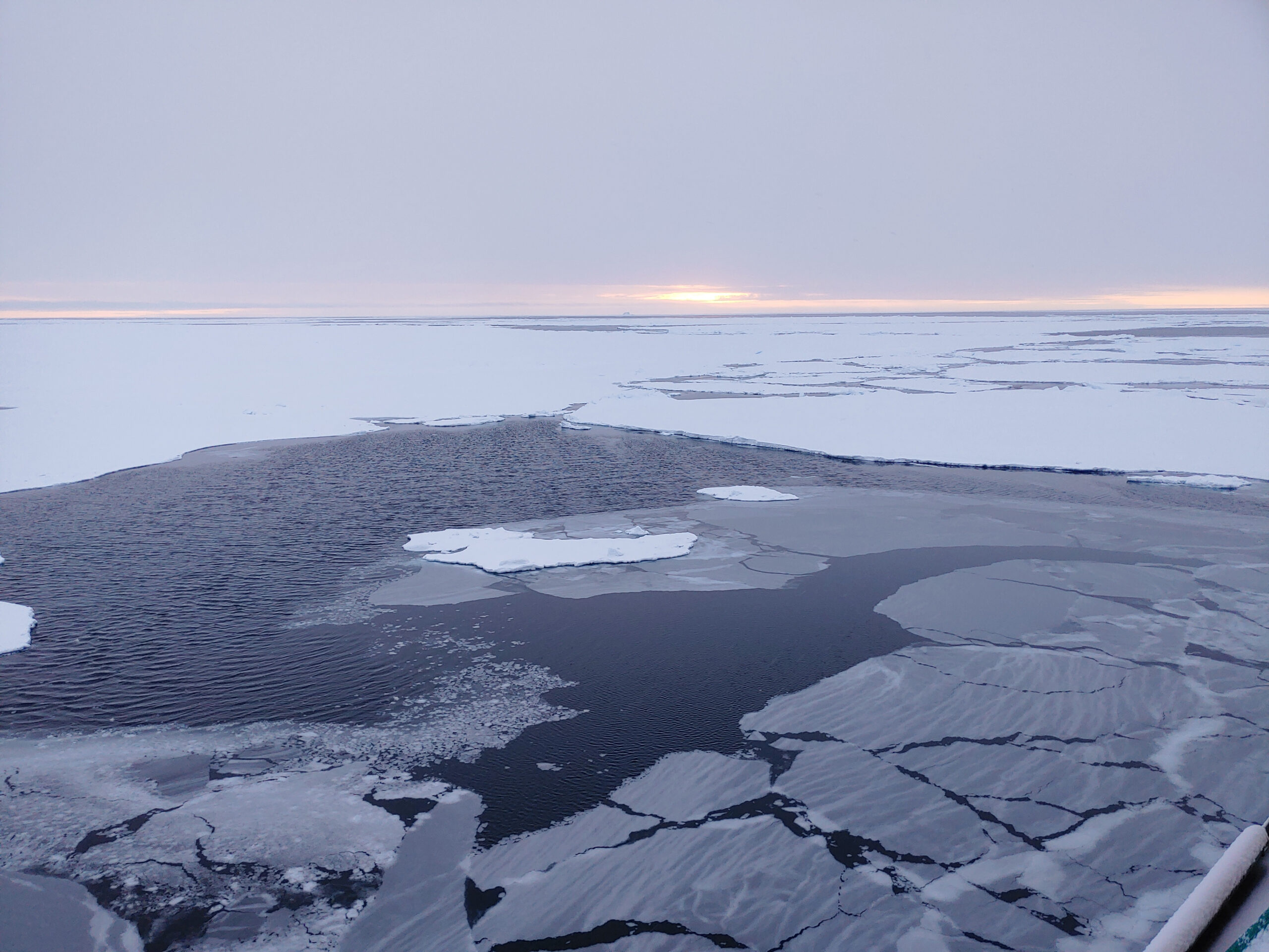 Havsisen i Arktis blir allt tunnare, rapporterar klimatologer vid Göteborgs universitet. Foto: Céline Heuzé