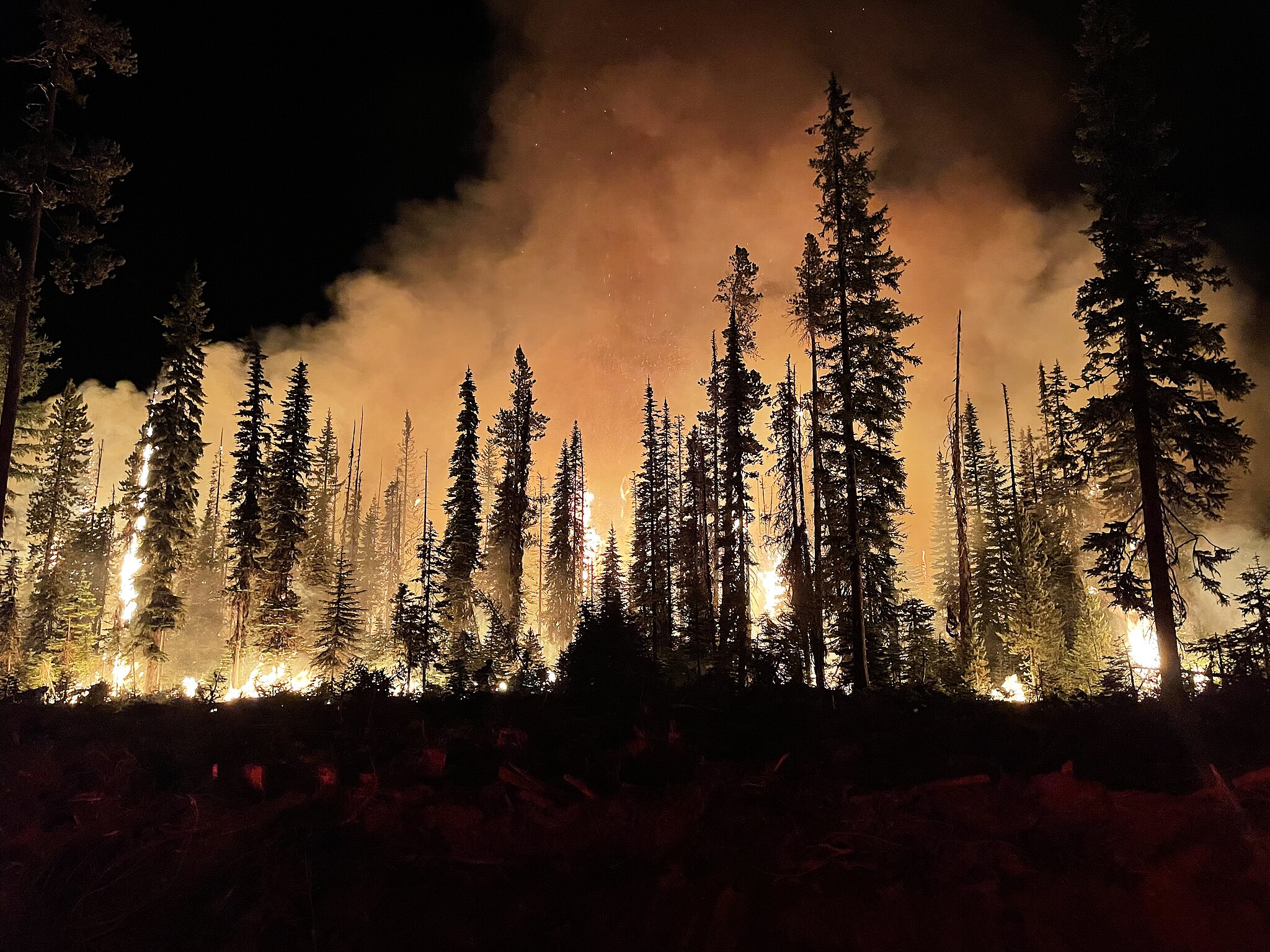 Den accelererande uppvärmningen av klimatet orsakade otaliga skogsbränder i fjol. Foto: Wikimedia Commons / U.S. Forest Service