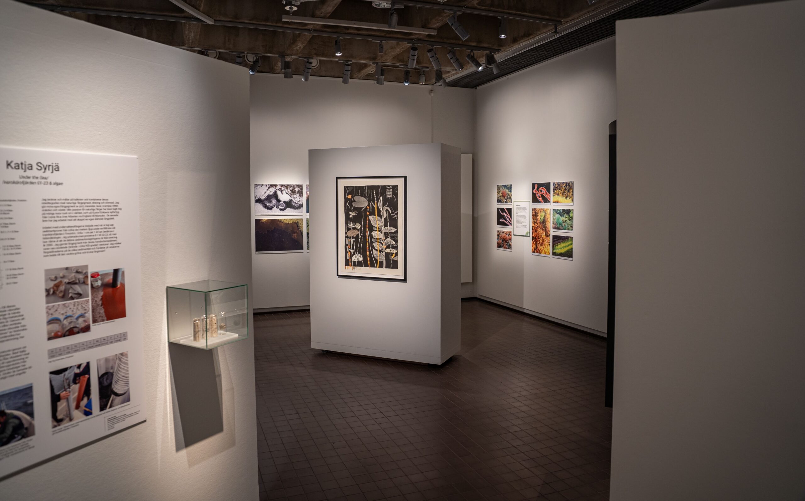 Ålands kulturhistoriska bjuder på konst om och av alger till och med den 7 maj. Foto: Tony Cederberg
