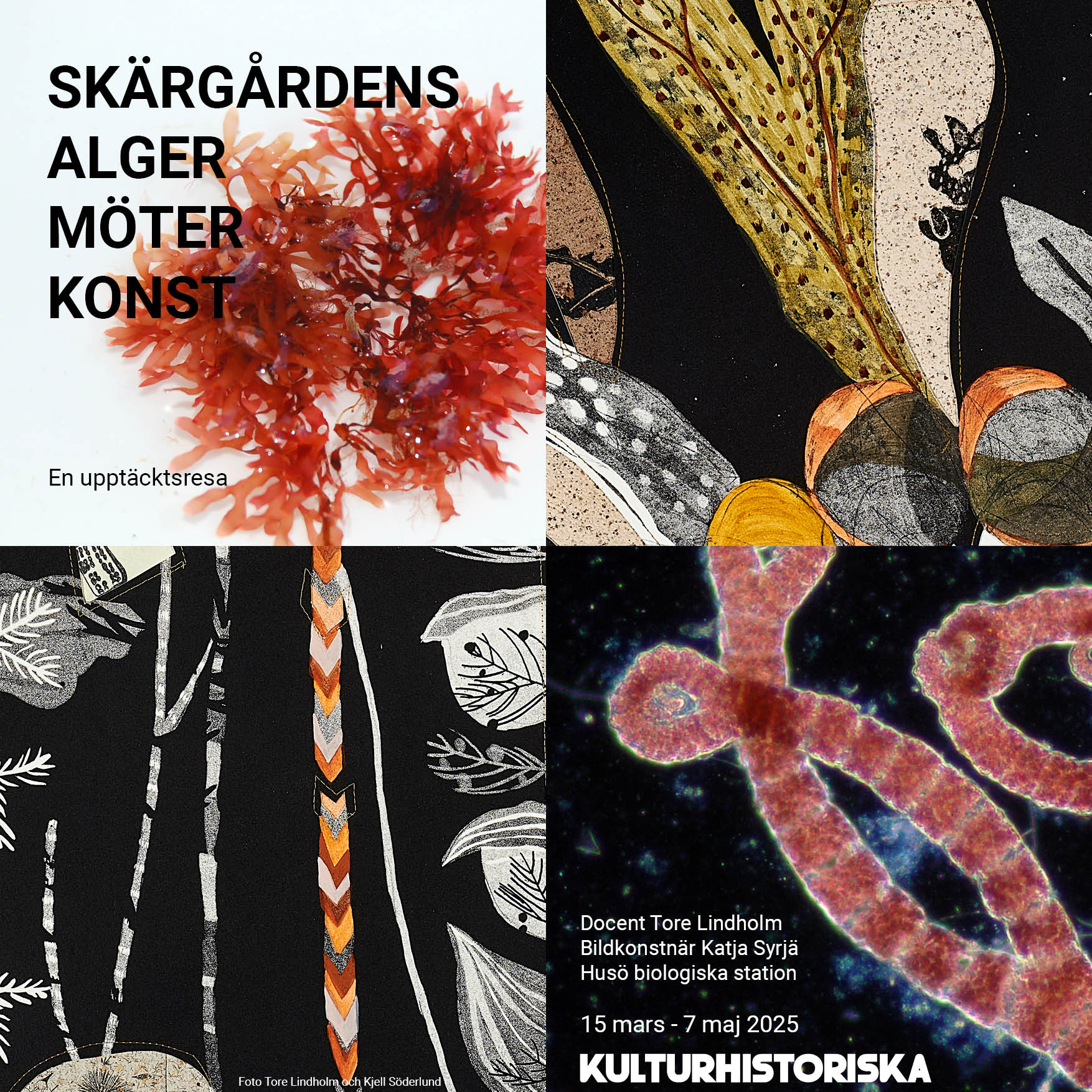 Alger fungerar som färgmaterial och konstobjekt. Styrkan ligger i de överraskande detaljerna som tar avstamp i fascination och engagemang, skriver Heidi Hendersson. Foto: Ålands kulturhistoriska