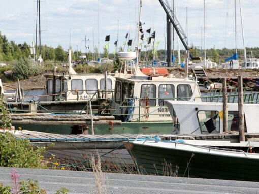 EU prickar Finland för olovligt fiske