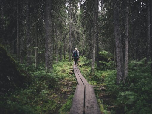 Stärkt naturskydd i Österbotten