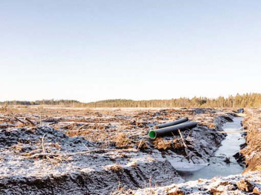 Kampen mot torvbrytningen
