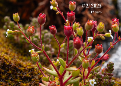 Finlands Natur 2/2025, sommar