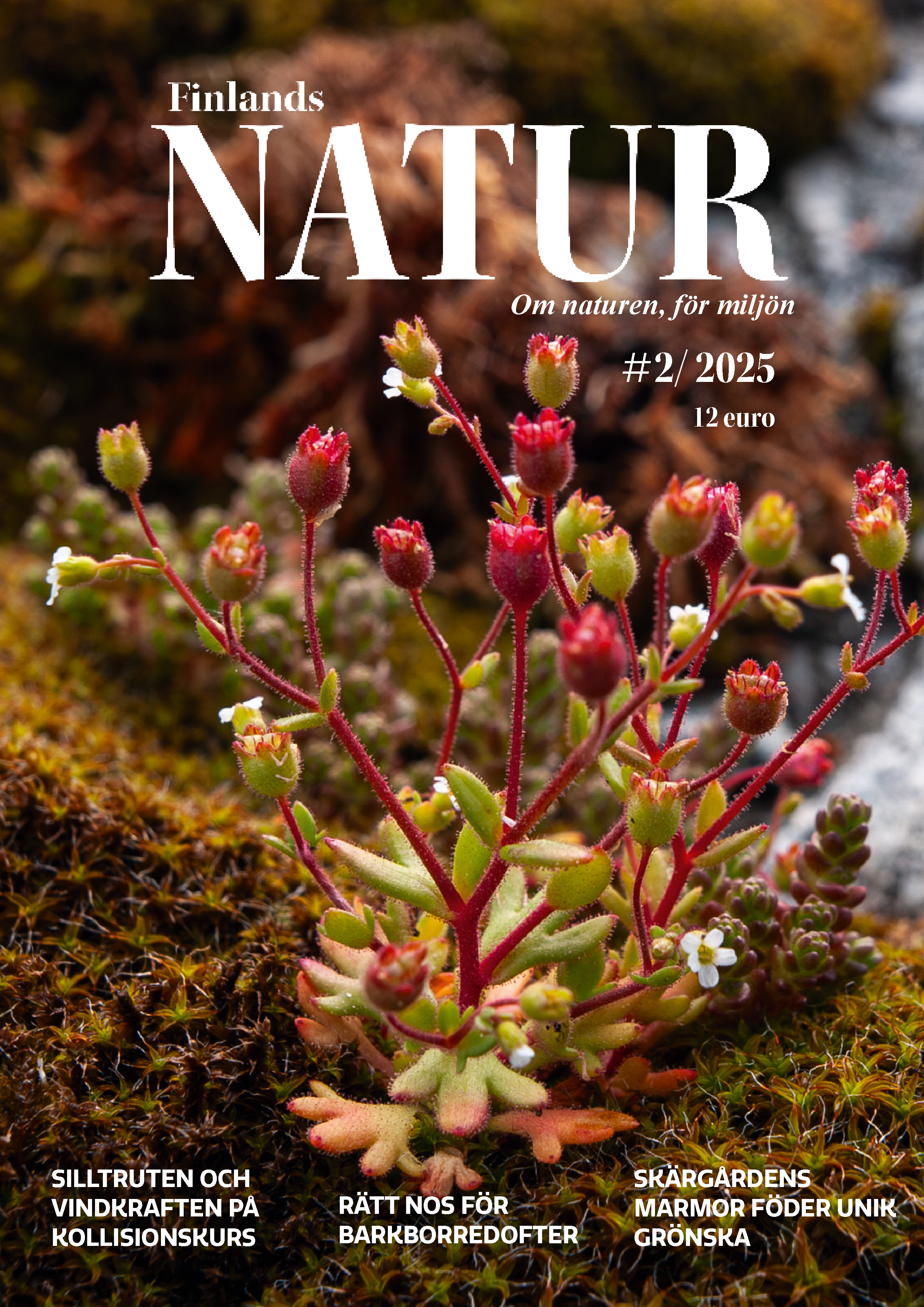 Fn 2_25_pärmbild pärmbild, Finlands Natur 2/25