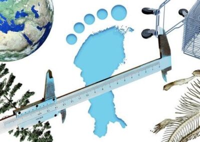 Ny metod beräknar fotavtrycket på naturen
