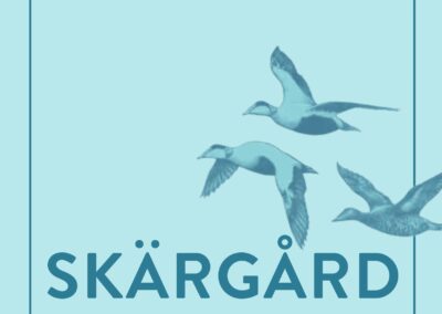Obekväma sanningar om bobarhet i skärgården