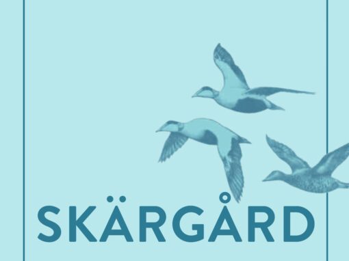 Obekväma sanningar om bobarhet i skärgården