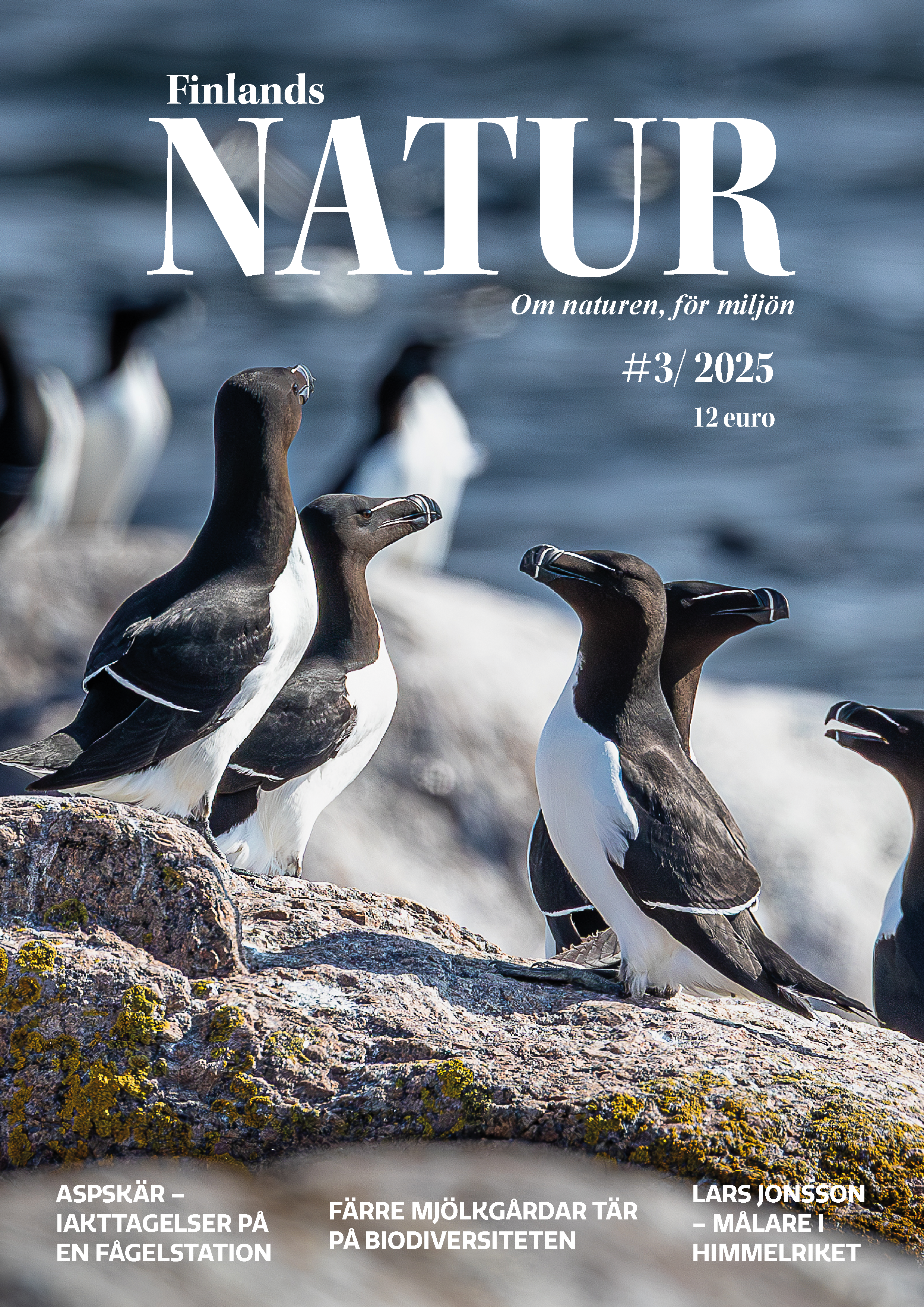 pärmbild, Finlands Natur 2/25