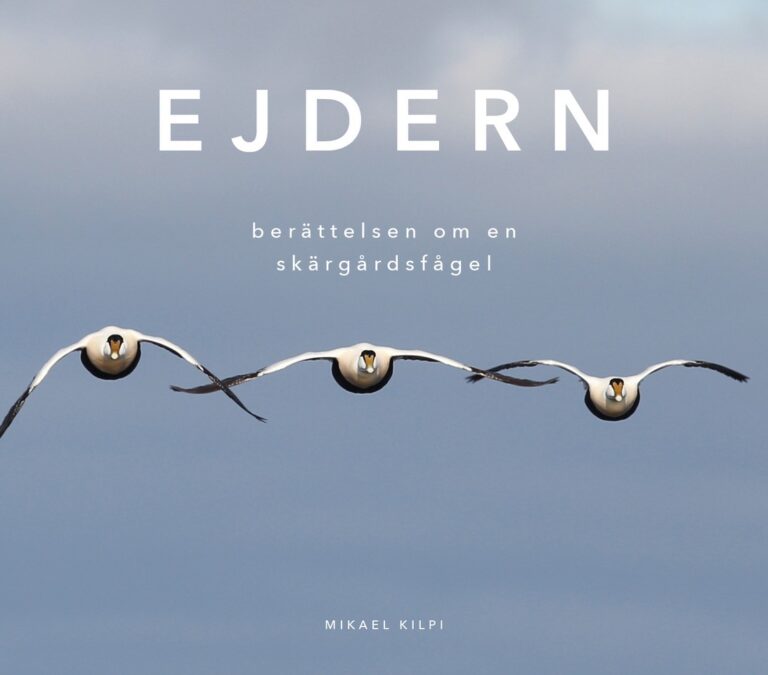Ode till en skärgårdsfågel 