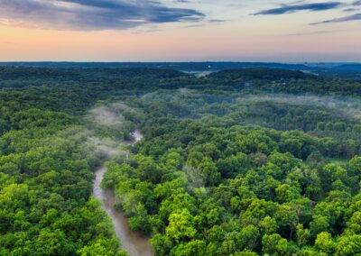 Amazonas avskogas – odling av kaffebönor bidrar till förstörelsen