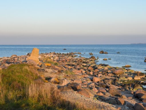 Spithamn – ett paradis för fågelskådare