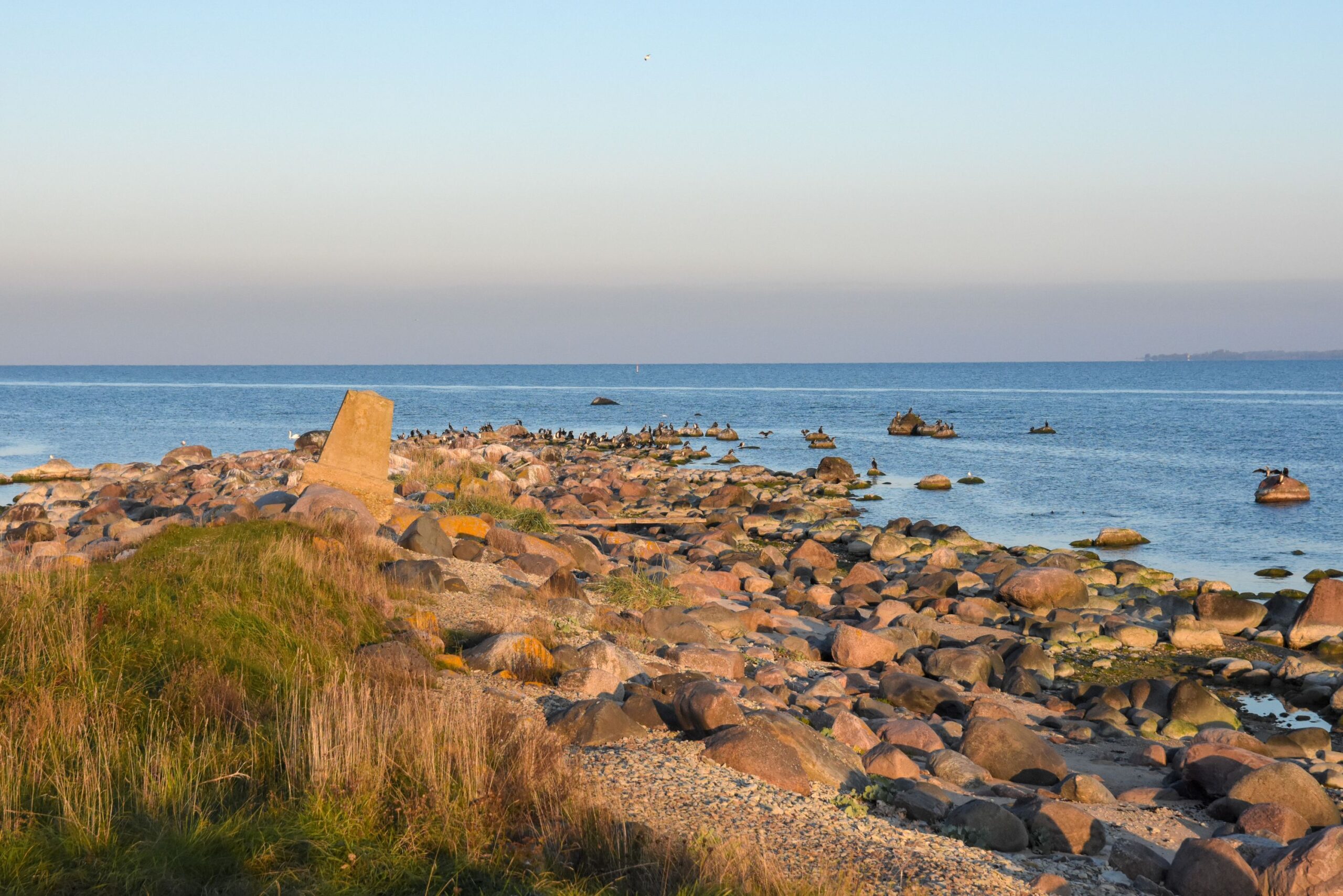 Spithamnsudden ligger i Estlands svenskbygder. Odensholm hägrar på sju kilometers avstånd uppe till höger. Foto: Mikael Sjövall