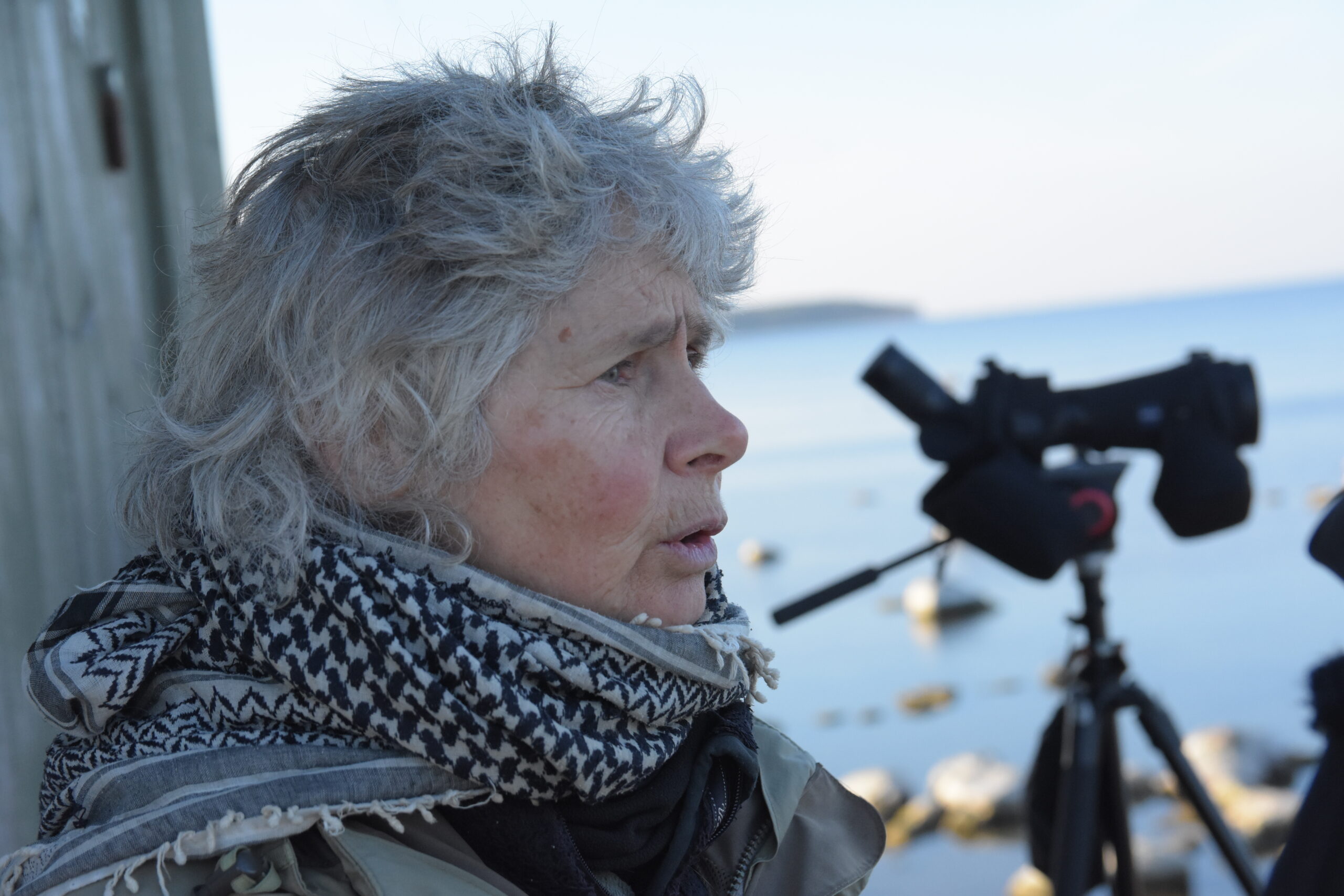 Annika Forsten är ordförande för den finska föreningen Viron lintuseura - Estlands fågelförening. Foto: Mikael Sjövall