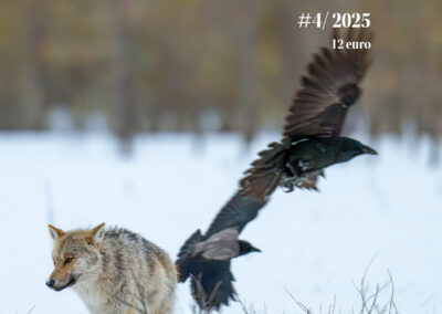 Finlands Natur 4/2025, vinter