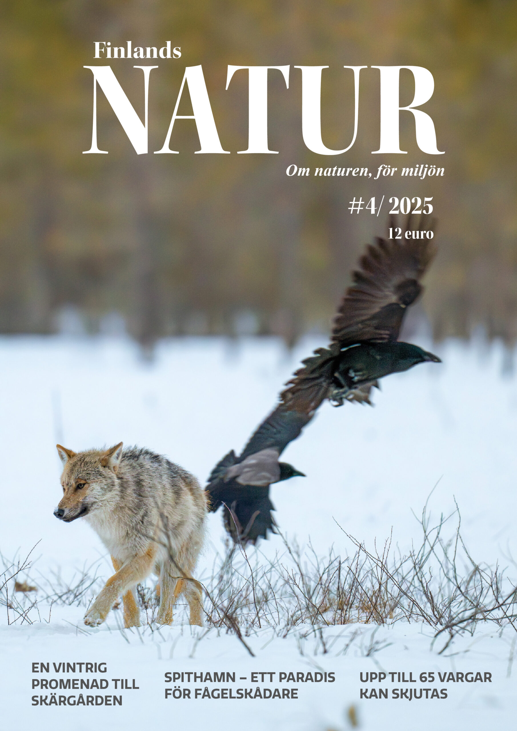 pärmbild, Finlands Natur 2/25