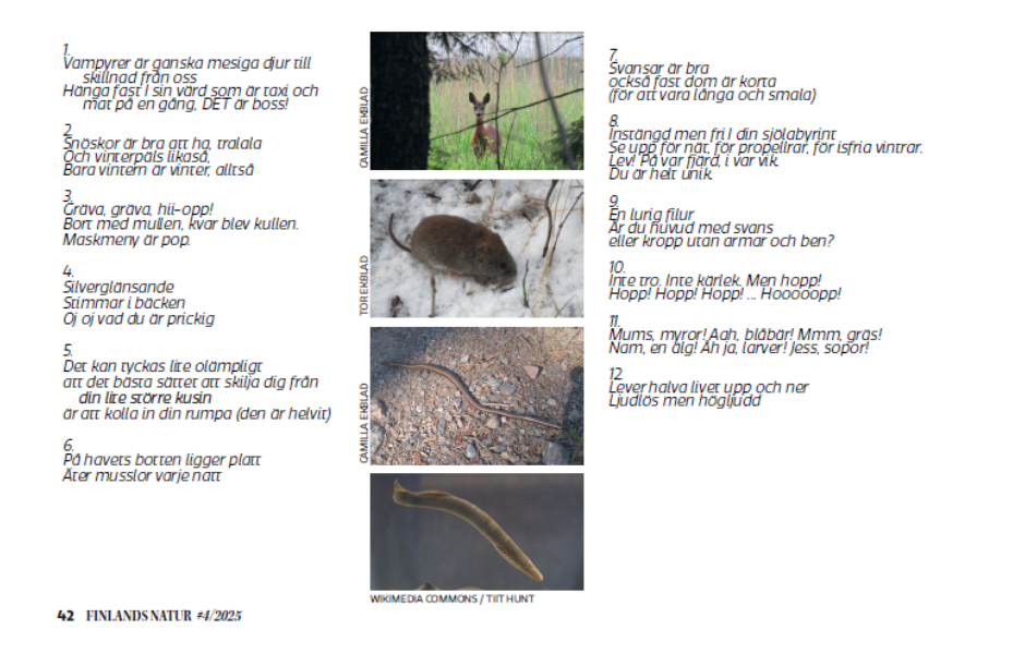 Naturkrysset vintern 2025