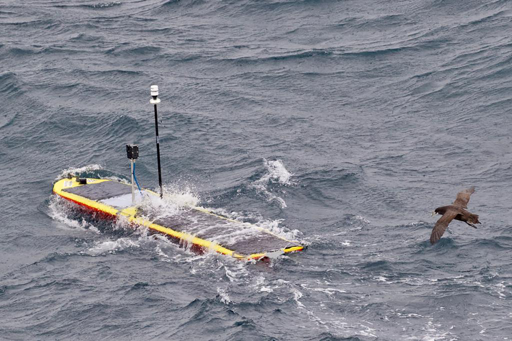 Havsrobot. En obemannad havsrobot, en så kallad Wave Glider, spelade en avgörande roll i studien. Foto: Sam Fredriksson