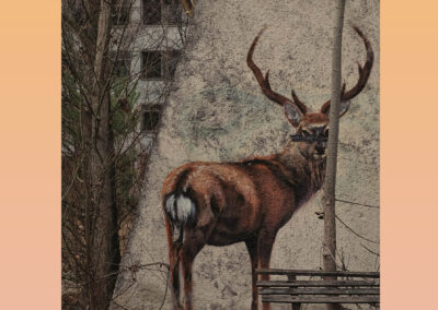 Trassel i den gröna tråden 