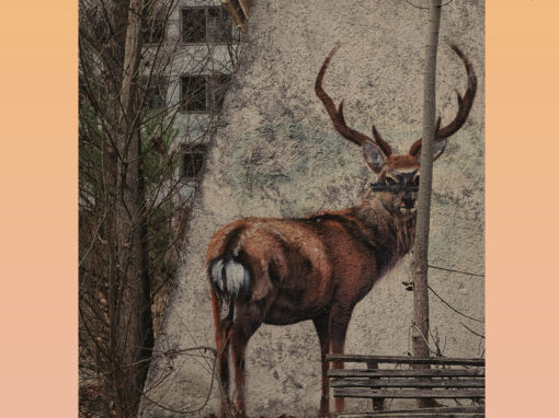 Trassel i den gröna tråden