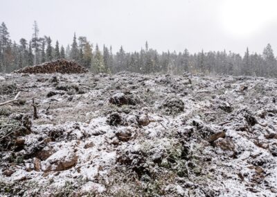 Orpos klimatpolitik är otillräcklig  – därför når inte Finlands regering målen 